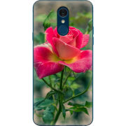 Чехол Uprint LG Q7 / Q7 Plus  