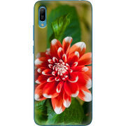 Чехол Uprint Huawei Y6 2019 