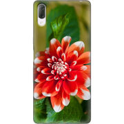 Чехол Uprint Sony Xperia L3 I4312 