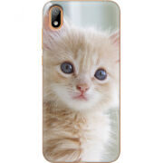Чехол U-print Huawei Y5 2019 Animation Kittens