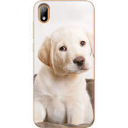 Чехол U-print Huawei Y5 2019 Puppy Labrador