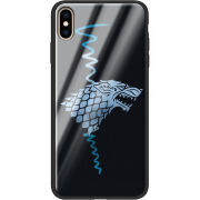 Защитный чехол BoxFace Glossy Panel Apple iPhone XS Max Game of Starks