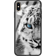 Защитный чехол BoxFace Glossy Panel Apple iPhone XS Max 
