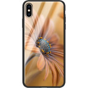 Защитный чехол BoxFace Glossy Panel Apple iPhone XS Max 
