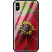 Защитный чехол BoxFace Glossy Panel Apple iPhone X 