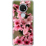 Чехол Uprint Nokia 7.2 Вишневые Цветы