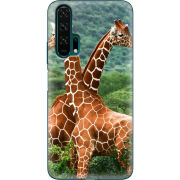 Чехол Uprint Huawei Honor 20 Pro 