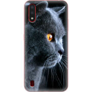 Чехол BoxFace Samsung A015 Galaxy A01 English cat