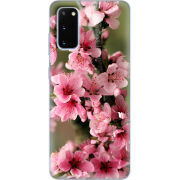 Чехол BoxFace Samsung G980 Galaxy S20 Вишневые Цветы