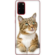 Чехол BoxFace Samsung G985 Galaxy S20 Plus 