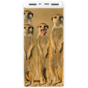 Xiaomi Mi Power Bank 3 20000mAh (PLM18ZM) Белый с принтом 