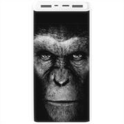 Xiaomi Mi Power Bank 3 20000mAh (PLM18ZM) Белый с принтом 