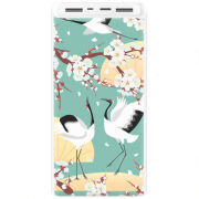 Xiaomi Mi Power Bank 3 20000mAh (PLM18ZM) Белый с принтом 