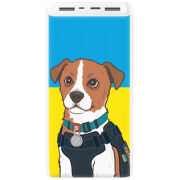 Xiaomi Mi Power Bank 3 20000mAh (PLM18ZM) Белый с принтом Пес Патрон