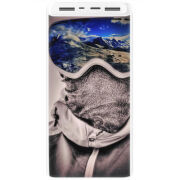 Xiaomi Mi Power Bank 3 20000mAh (PLM18ZM) Белый с принтом snowboarder
