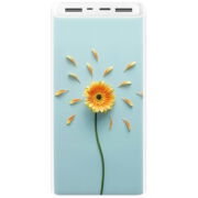 Xiaomi Mi Power Bank 3 20000mAh (PLM18ZM) Белый с принтом 