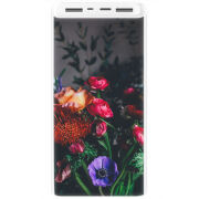 Xiaomi Mi Power Bank 3 20000mAh (PLM18ZM) Белый с принтом 