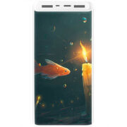 Xiaomi Mi Power Bank 3 20000mAh (PLM18ZM) Белый с принтом 