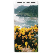 Xiaomi Mi Power Bank 3 20000mAh (PLM18ZM) Белый с принтом 
