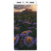 Xiaomi Mi Power Bank 3 20000mAh (PLM18ZM) Белый с принтом 