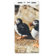 Xiaomi Mi Power Bank 3 20000mAh (PLM18ZM) Белый с принтом 