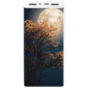 Xiaomi Mi Power Bank 3 20000mAh (PLM18ZM) Белый с принтом 