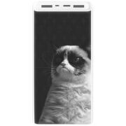 Xiaomi Mi Power Bank 3 20000mAh (PLM18ZM) Белый с принтом 