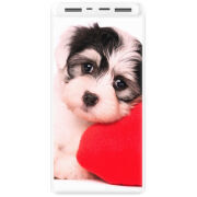 Xiaomi Mi Power Bank 3 20000mAh (PLM18ZM) Белый с принтом 