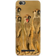 Чехол Uprint Lenovo A2020 Vibe C 
