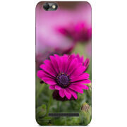 Чехол Uprint Lenovo A2020 Vibe C 