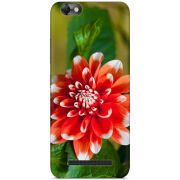 Чехол Uprint Lenovo A2020 Vibe C 