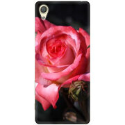Чехол Uprint Sony Xperia X F5122 
