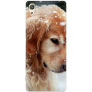 Чехол Uprint Sony Xperia X F5122 Golden Retriever