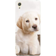 Чехол Uprint Sony Xperia X F5122 Puppy Labrador