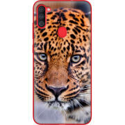 Чехол BoxFace Samsung Galaxy A11 (A115) 