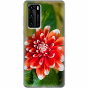 Чехол BoxFace Huawei P40 
