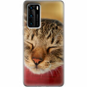 Чехол BoxFace Huawei P40 