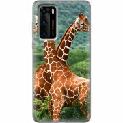 Чехол BoxFace Huawei P40 