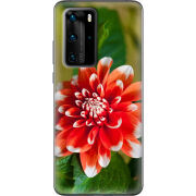 Чехол BoxFace Huawei P40 Pro 