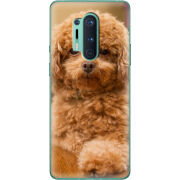 Чехол BoxFace OnePlus 8 Pro 