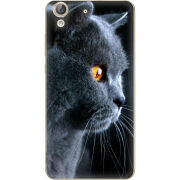 Чехол Uprint Huawei Y6 2 English cat