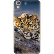 Чехол Uprint Huawei Y6 2 