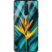 Защитный чехол BoxFace Glossy Panel OnePlus 8 