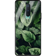 Защитный чехол BoxFace Glossy Panel OnePlus 8 