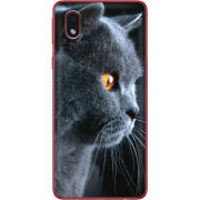 Чехол BoxFace Samsung Galaxy A01 Core (A013) English cat