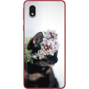 Чехол BoxFace Samsung Galaxy A01 Core (A013) 