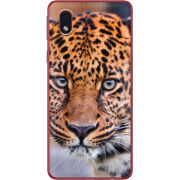 Чехол BoxFace Samsung Galaxy A01 Core (A013) 