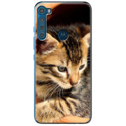 Чехол BoxFace Motorola One Fusion Plus 
