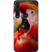 Чехол BoxFace Motorola G8 Plus 