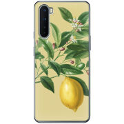 Чехол BoxFace OnePlus Nord 